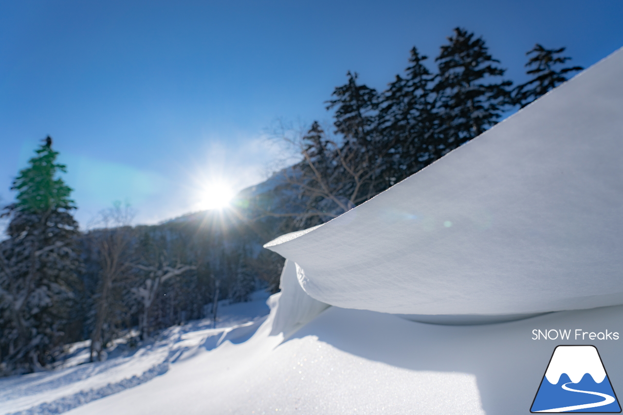 大雪山層雲峡・黒岳ロープウェイスキー場｜やっぱりここは別世界。標高1,520ｍのパウダーフィールド！